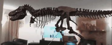 Tyrannosaurus Rex in Mixed Reality